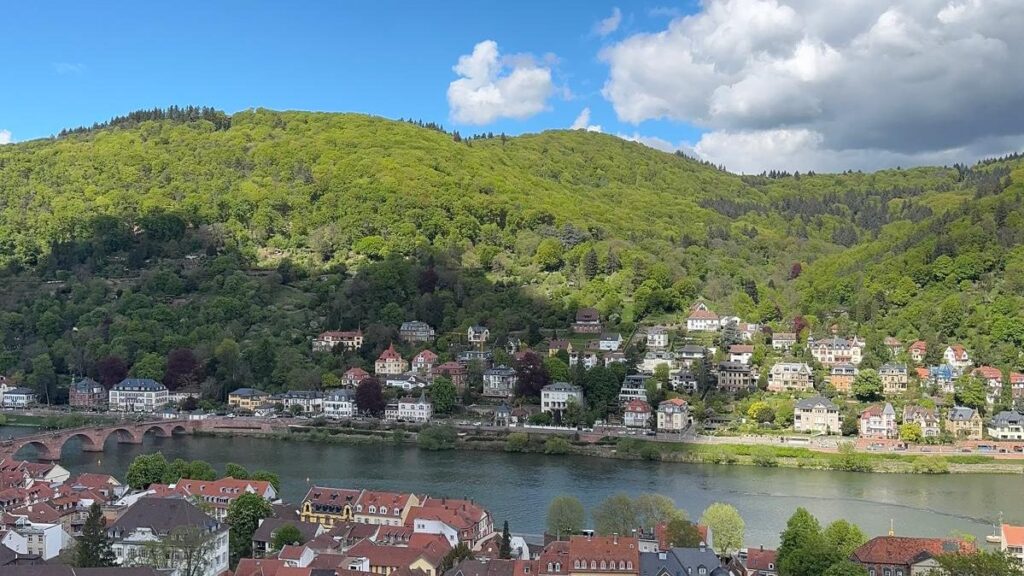 Heidelberger Altstadt am Neckar